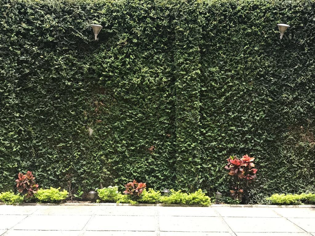 Real Avenida Hotel Тустла-Гутьеррес Экстерьер фото